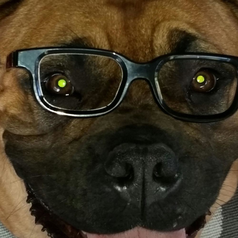 Meet your Posher, Sam